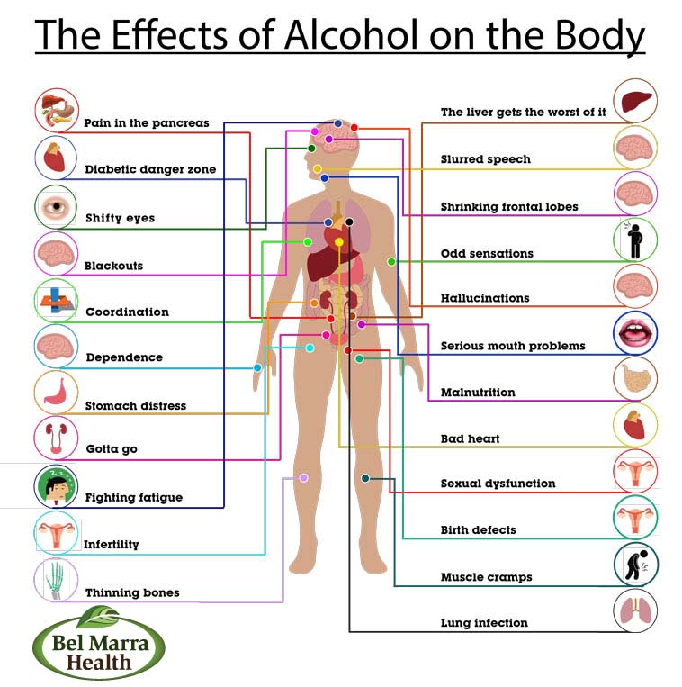 Alcohol-body-chart.jpg