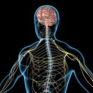 Sjögren’s syndrome neurological symptoms include peripheral neuropathy