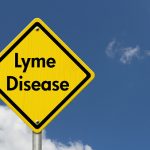 lyme disease inflammation