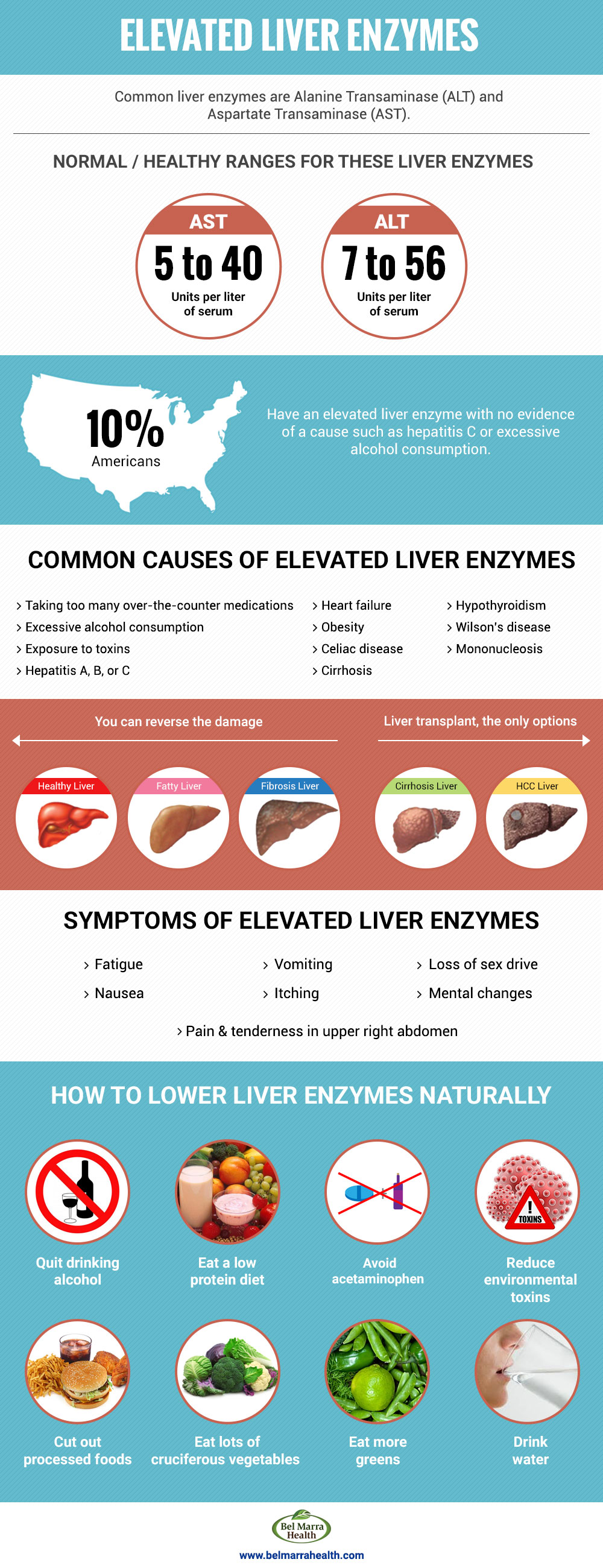 What are high liver enzymes?