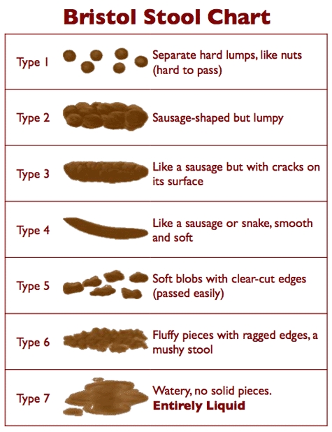 What Your Poop Is Telling You Ab...