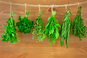 4 Top herbs for better brain health