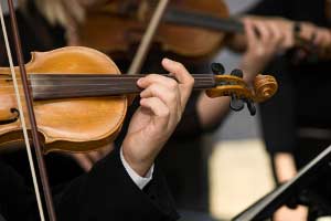 Real Causes of Hearing Loss &#03...