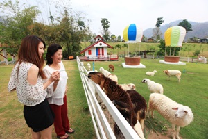 Lower your blood pressure by goi...