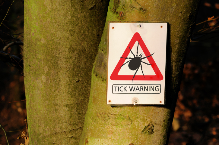 Why is the United States at high...