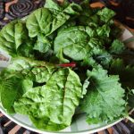 greens salad