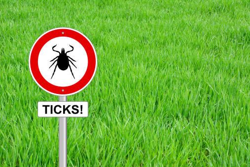 Why Lyme disease is so hard to d...