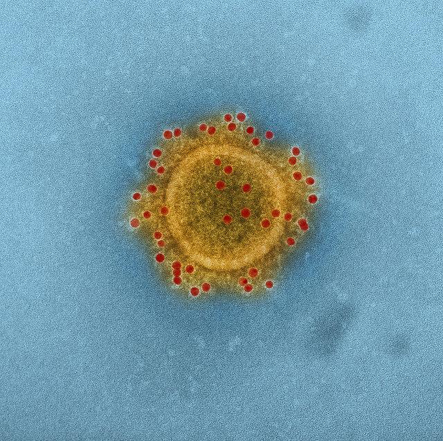 MERS vaccine ready for clinical ...