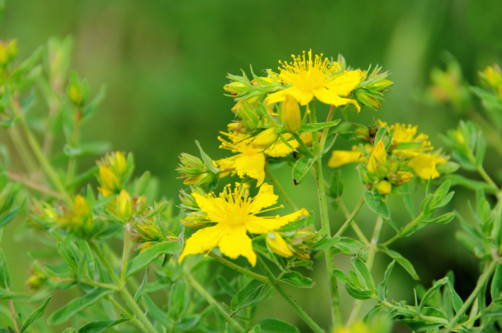 If you want better blood pressur...