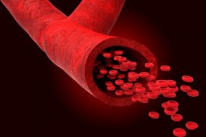 blood vessels improve age