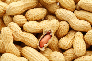 Fatal allergy case could have br...