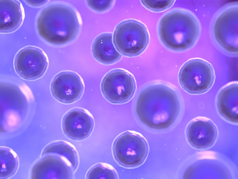 Researchers secretive about ‘mys...