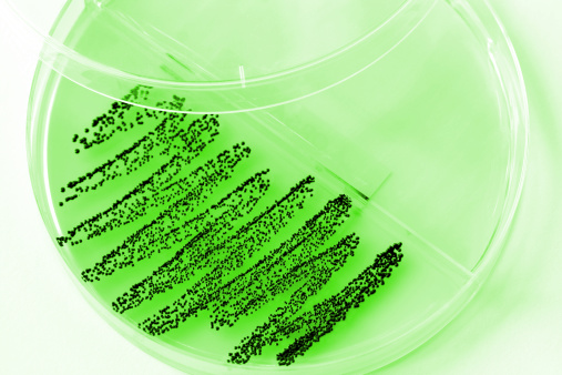 Old drug studied to combat antib...