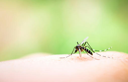 West Nile virus vaccine gets cli...