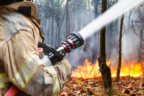 Effects of wildfires and heart h...