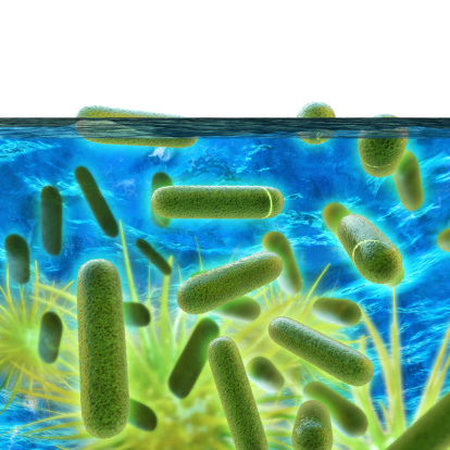 New study reveals cytoprotective...