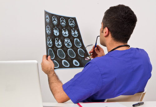 New study demystifies brains nuc...