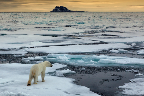 Changes to climate can affect he...