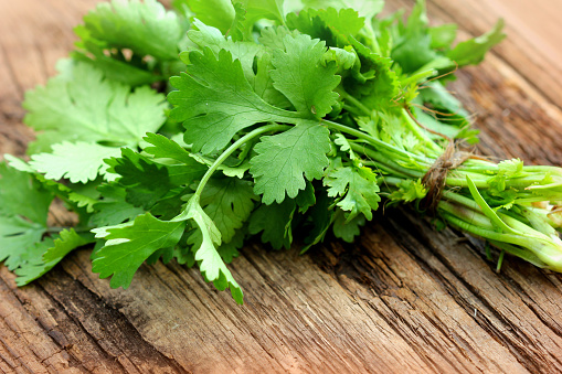 FDA: cilantro temporarily banned...