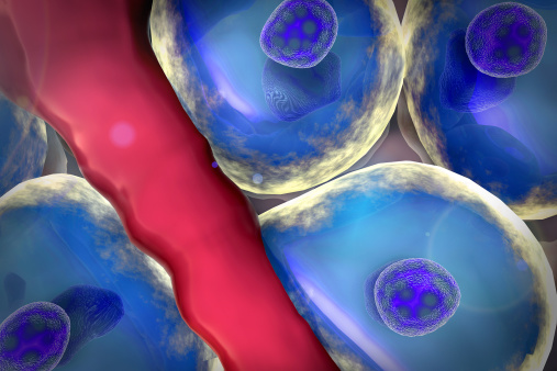 New cells proof of liver regener...