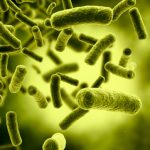 Factors affecting alterations in gut flora balance