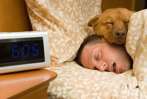 Deep sleep may strengthen immune system memory of antigens