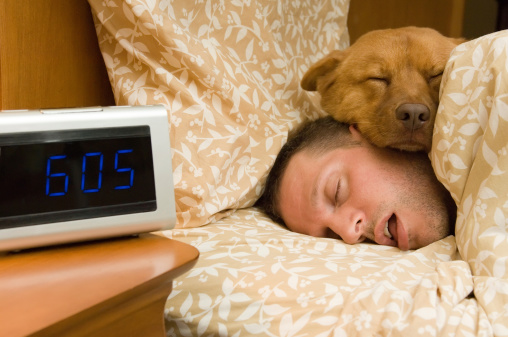 Deep sleep may strengthen immune...