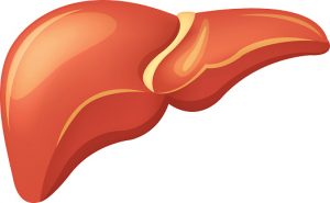 Diabetics unaware of potential liver disease