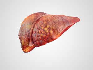 Foods that help liver regeneration