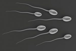 Low sperm mobility linked with common chemical exposure