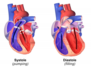 diastolic and systolic