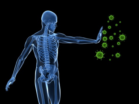 Immune system studies find key r...