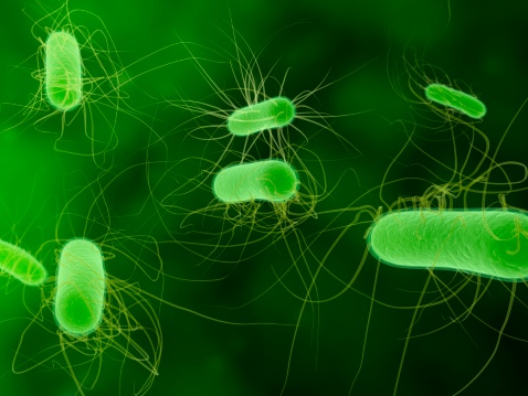 Common E. coli infection affecti...