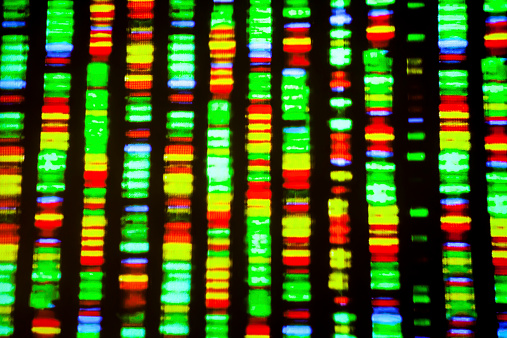 UCL study highlights genes for s...