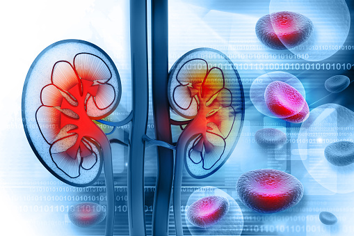 Kidney disease risk increases wi...