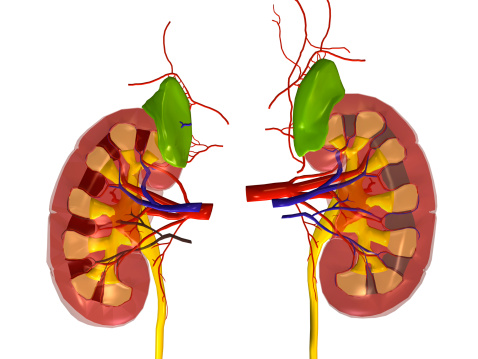 Ascites, advanced liver disease ...