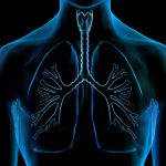 Difference in chronic bronchitis and emphysema symptoms