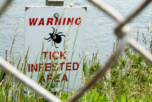 Early sign of Lyme disease could...