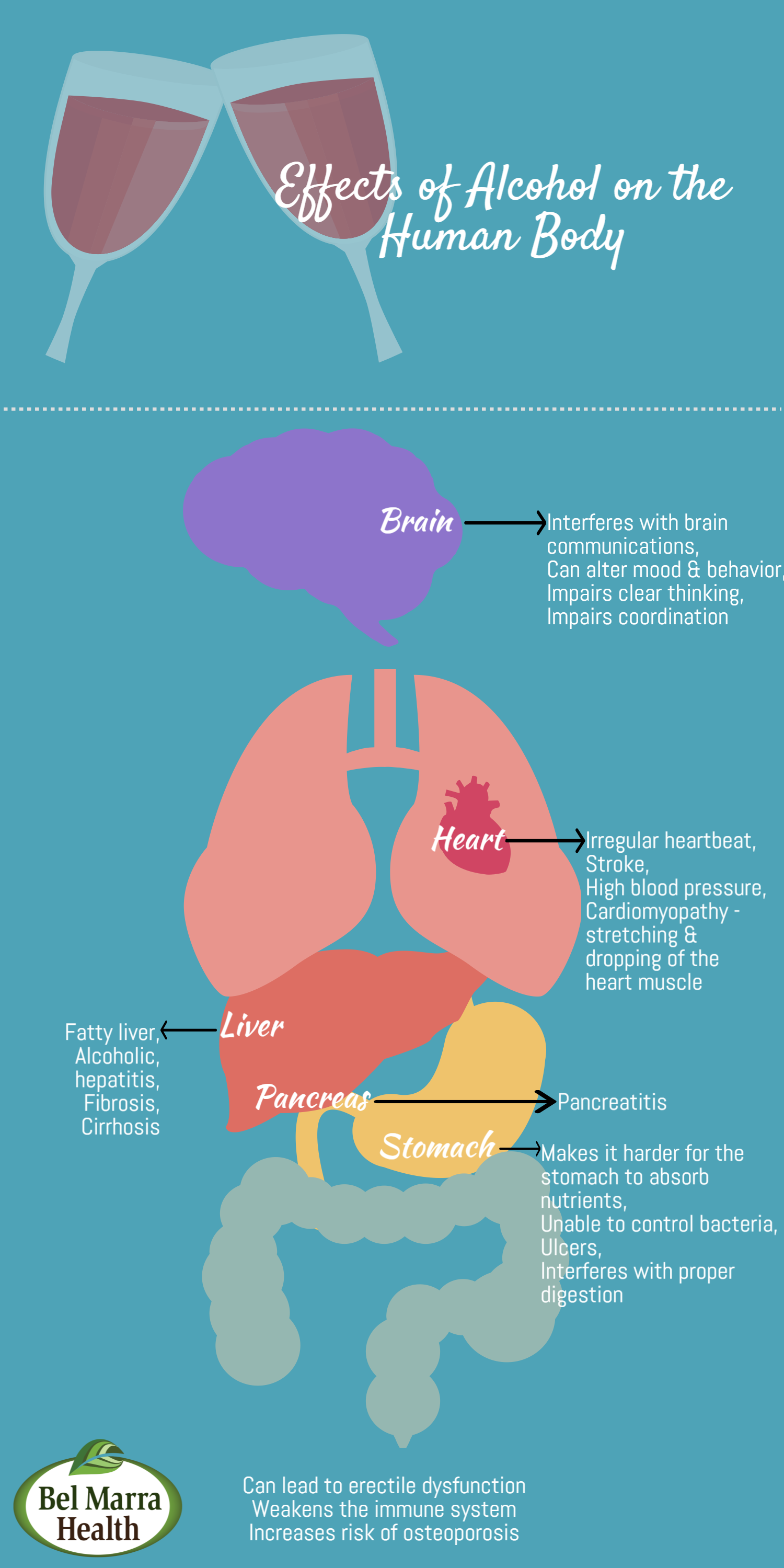 Infographic - Effect of Alcohol on Human Body