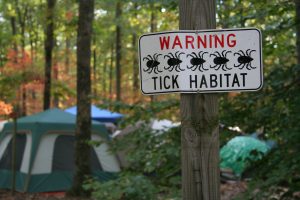 Lyme disease-causing ticks spread across the U.S.