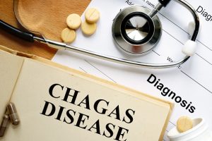 Chagas disease vaccine potential after study identifies how it evades immune system