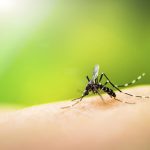 Zika virus travel precautions 