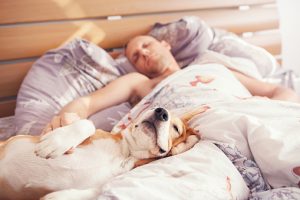 tips to improve sleep