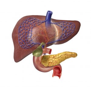 Inflammatory bowel disease (IBD), ulcerative colitis associated with liver disease