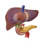 inflammatory-bowel-disease-ulcerative-colitis-associated-liver-disease