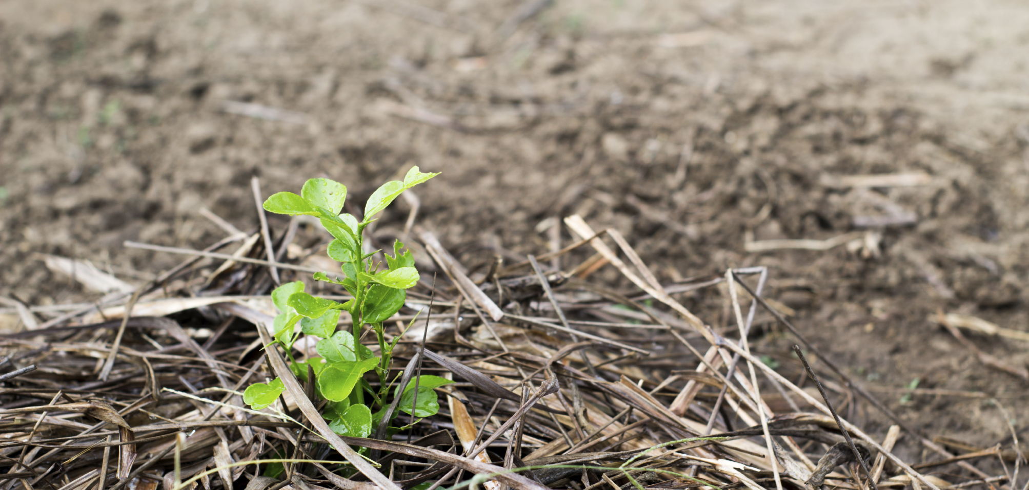 Foods to Eat, Avoid, and Behavio...