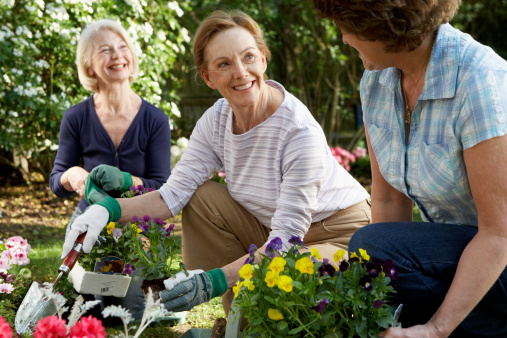 Alzheimer’s risk lowered through...