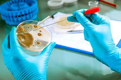 Listeria outbreak 2016, recent l...