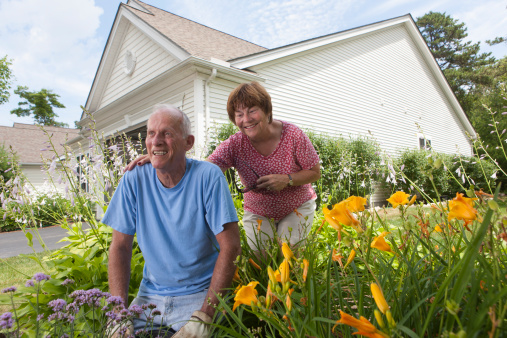 Retirement promotes healthier li...