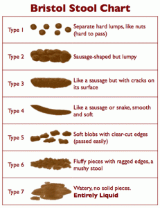 Bristol Stool Chart (Poop Chart)